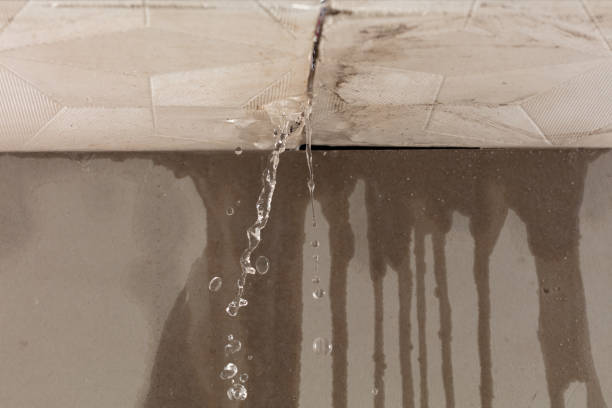 Professional Structural Drying technician working in Hyde Park, PA